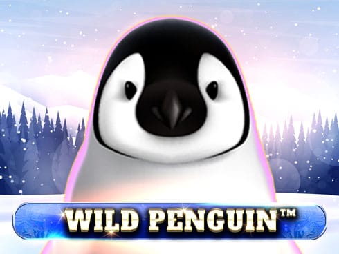 Wild Penguin screenshot